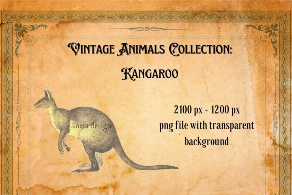Bringing Whimsy to Print: The Vintage Kangaroo Illustration