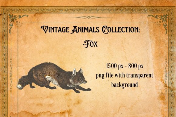 Charming Vintage Fox Illustration: Your Next Design Asset