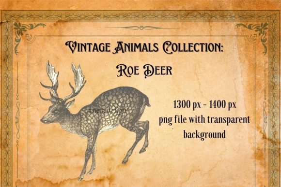 Charming Vintage Roe Deer Illustration: A Designer's Guide