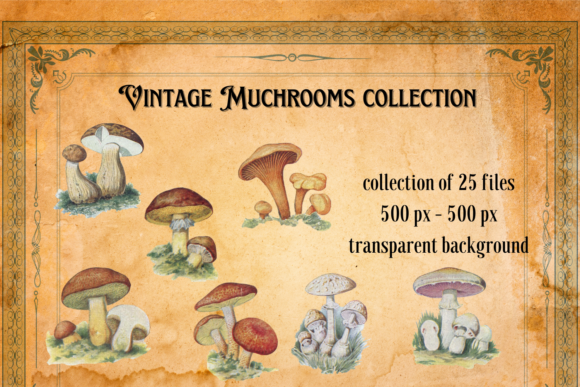 Enchant Your Junk Journals with Vintage Mushroom Illustrations
