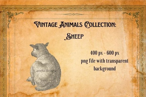 Rediscovering Whimsy: The Timeless Appeal of Vintage Sheep Illustration