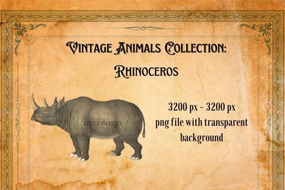 Vintage Rhinoceros Illustration: A Charming Retro Asset