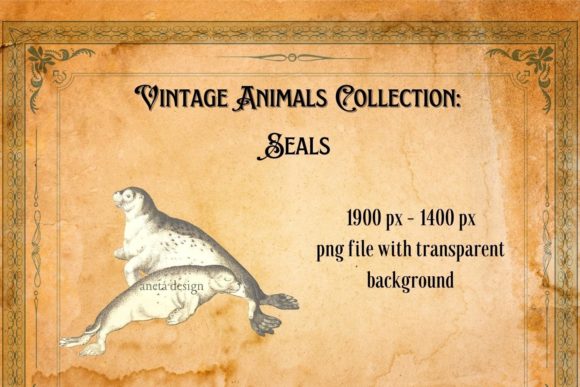 Vintage Seals Illustration: Nostalgic Charm for Modern Projects